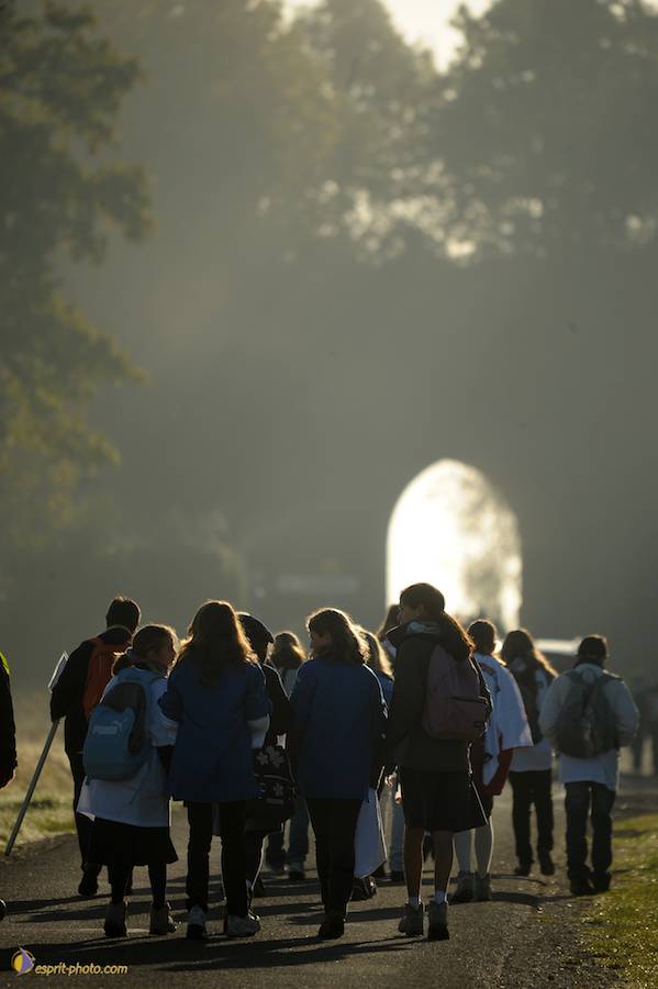 Nom de l'image : D30082907_1_(c)Norbert-JUNG — Description :